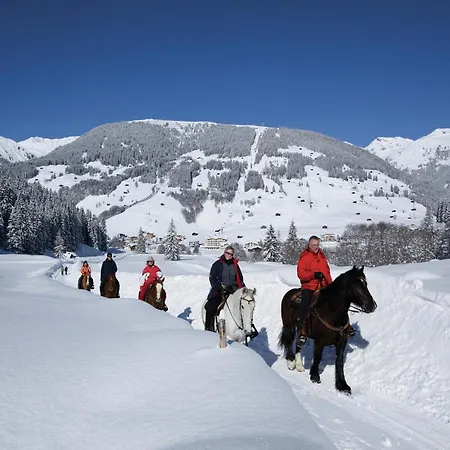 Cozy Apartment In Aschau Im Zillertal Near Ski Lift * Aschau Im Zillertal