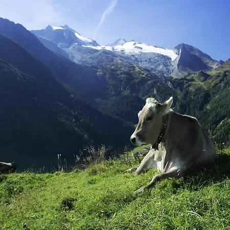 Cozy In Near Lift Aschau Im Zillertal